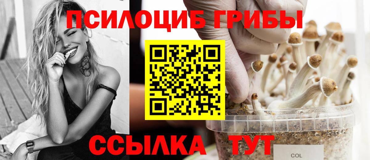 Качканар  Галлюциногенные грибы Cubensis  Вход с VPN  Псилоцибиновые грибы Cubensis 